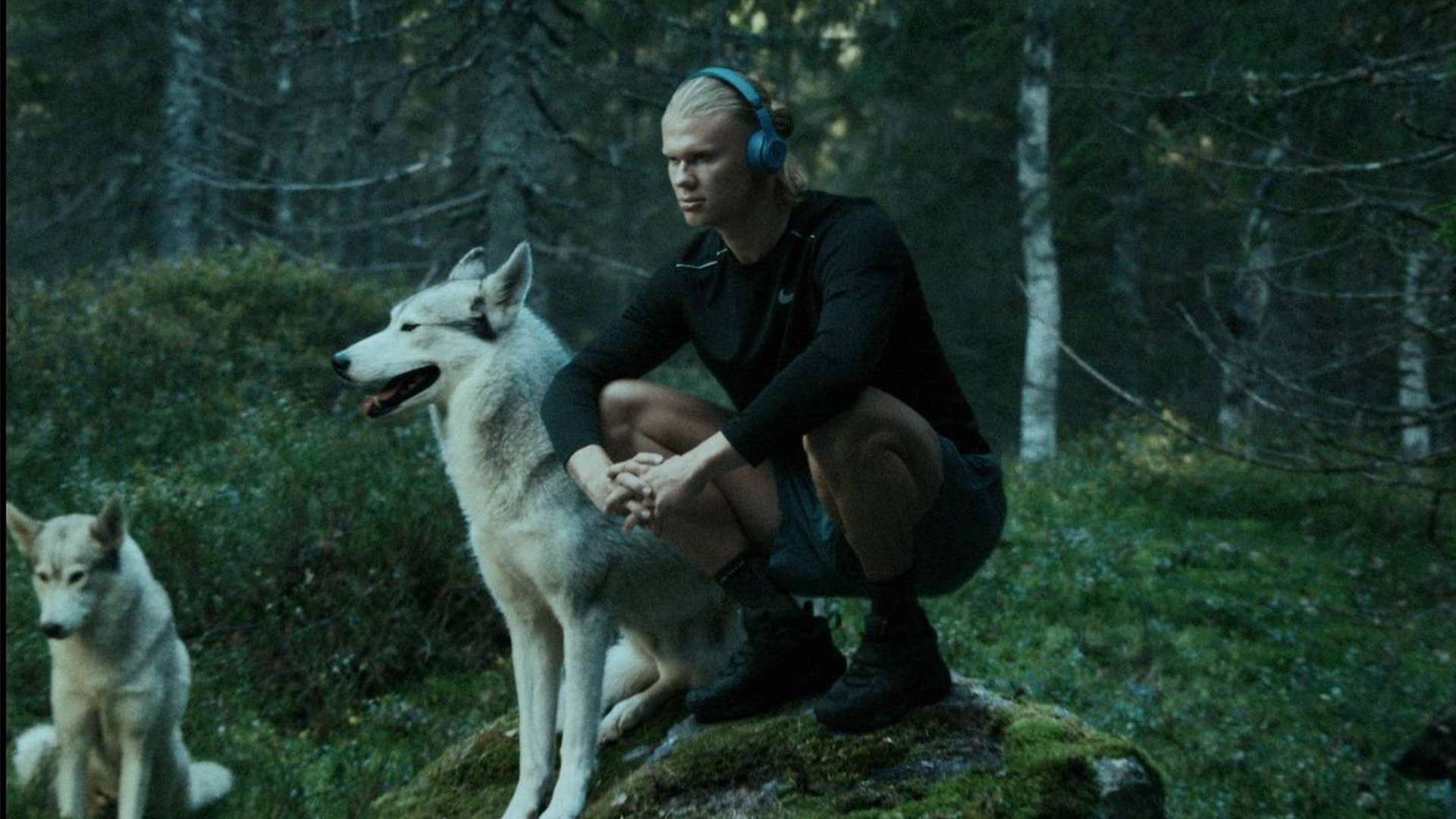 西時期得到 西時期得到